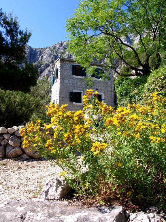 Dalmatinska Kuca Makarska